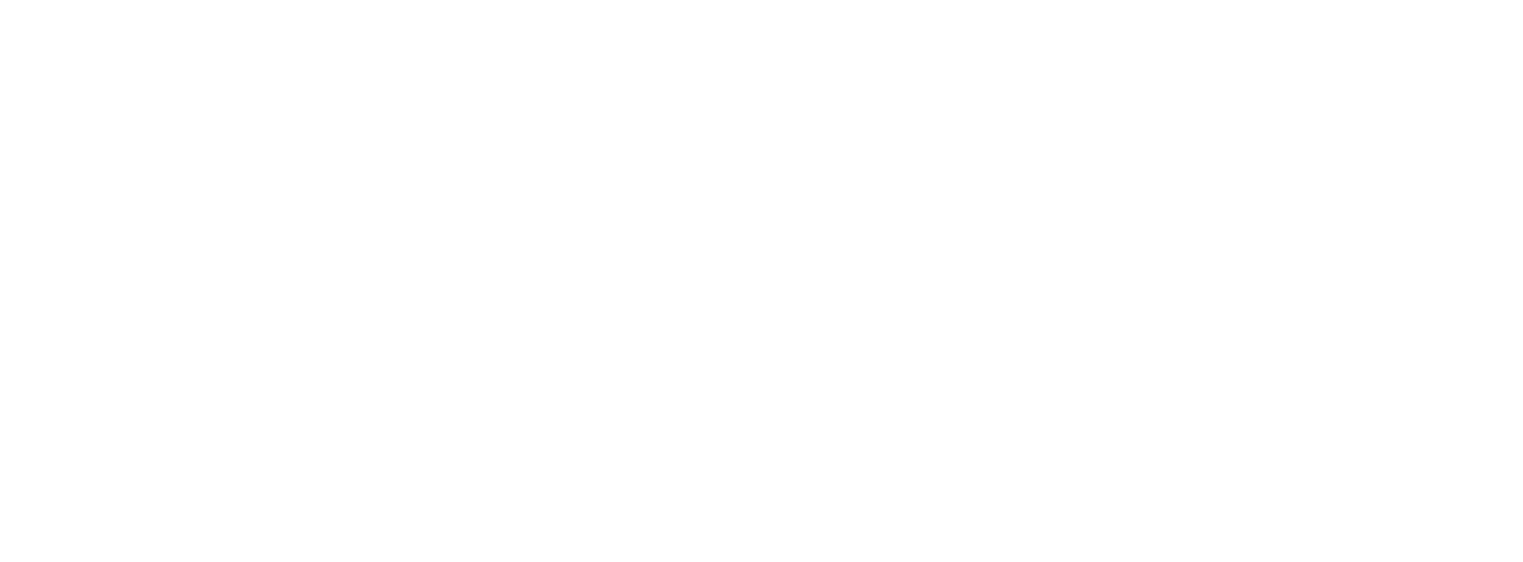 ProLuxe Travel